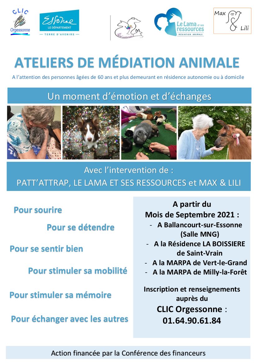 atelier animale2